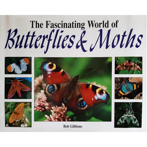 The Fascinating World Of Butterflies And Moths