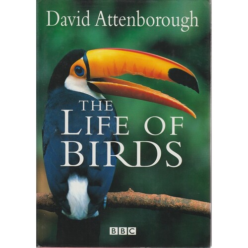The Life Of Birds