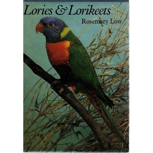 Lories And Lorikeets