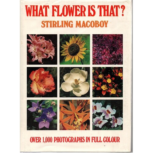 What Flower Is That