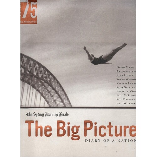 The Big Picture. Diary Of A Nation