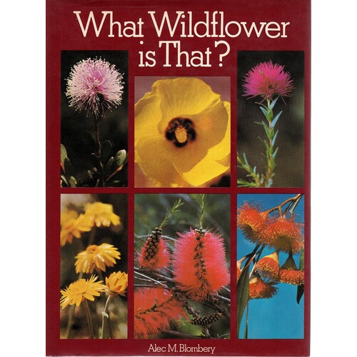 What Wildflower Is That