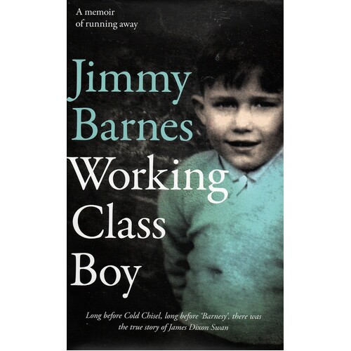 Working Class Boy