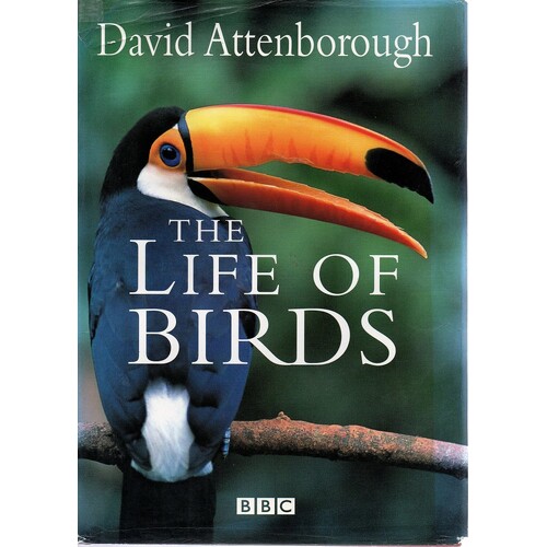 The Life Of Birds