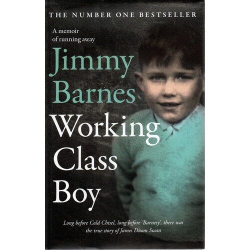 Working Class Boy