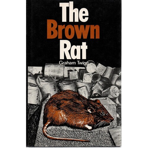The Brown Rat