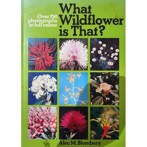 What Wildflower Is That