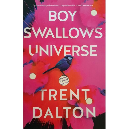 Boy Swallows Universe