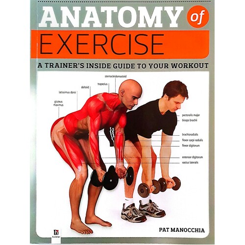 Anatomy Of Exercise