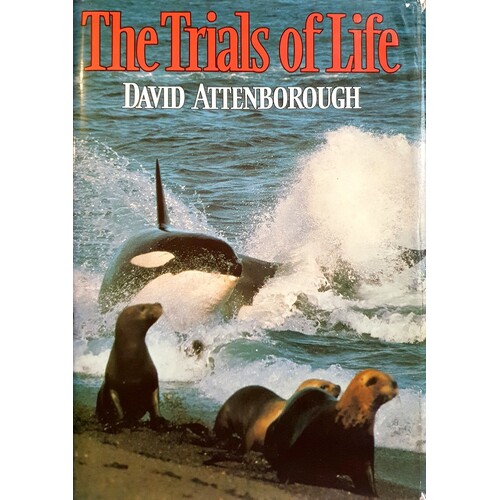 The Trials Of Life