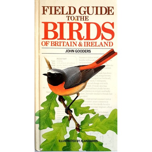 Field Guide To The Birds Of Britain & Ireland