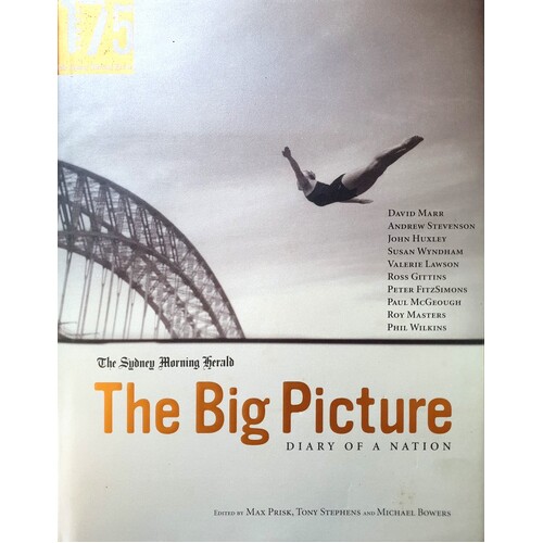The Big Picture. Diary Of A Nation