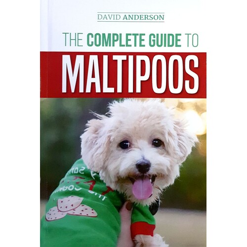 The Complete Guide To Maltipoos. Everything You Need To Know Before Getting Your Maltipoo Dog