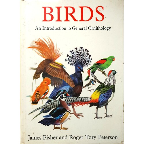 Birds. An Introduction To General Ornithology