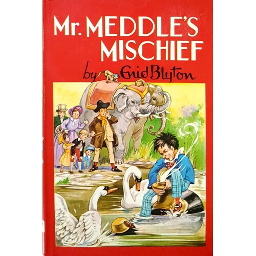 Mr Meddle's Mischief