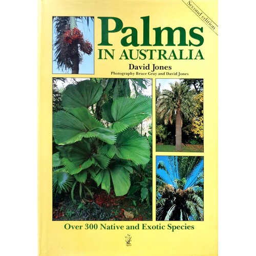 Palms In Australia
