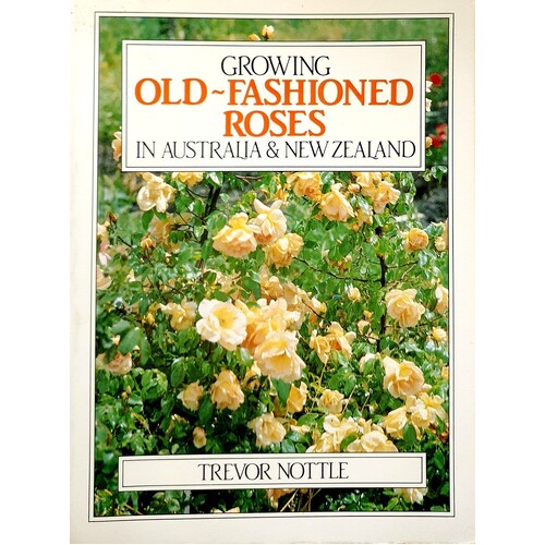 Growing Old Fashioned Roses In Australia And New Zealand