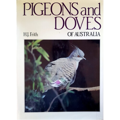 Pigeons and Doves of Australia