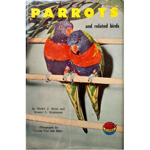 Parots And Related Birds