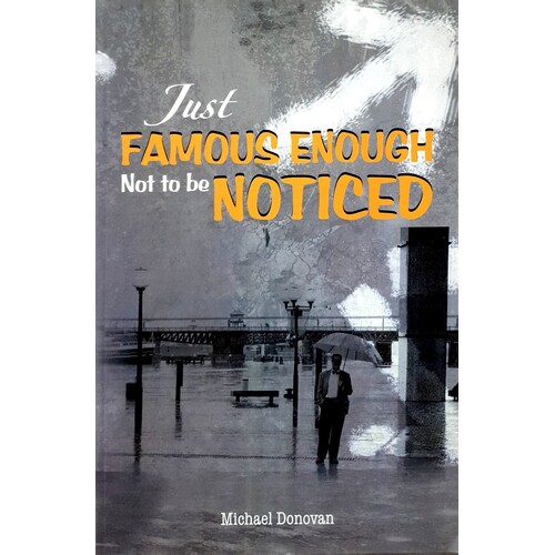 Just Famous Enough Not To Be Noticed