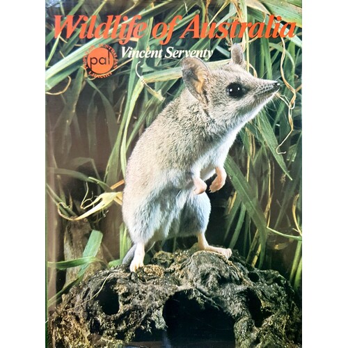 Wildlife Of Australia