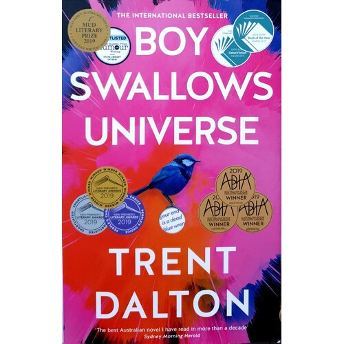 Boy Swallows Universe