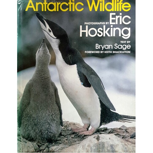 Antarctic Wildlife