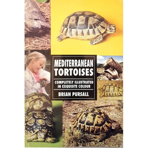Mediterranean Tortoises