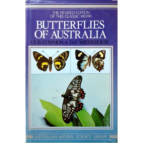 Butterflies Of Australia
