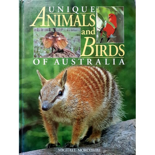 Unique Animals And Birds Of Australia