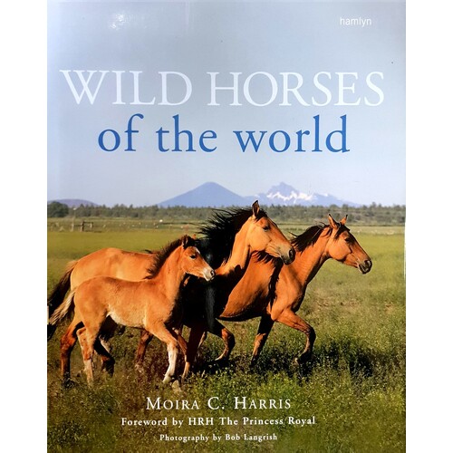 Wild Horses Of The World