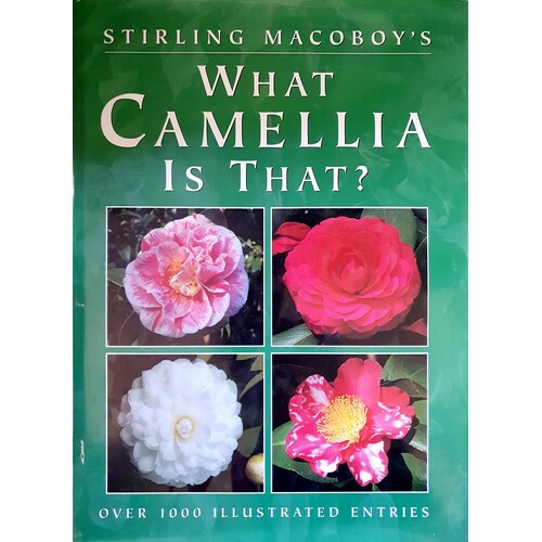 What Camellia is That
