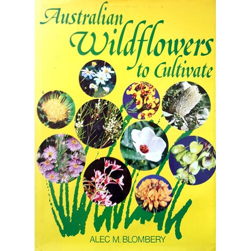 Australian Wildflowers To Cultivate