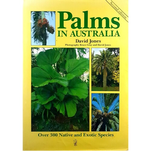 Palms In Australia