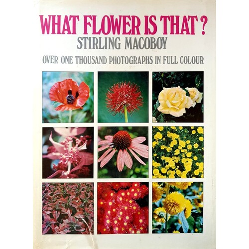What Flower Is That