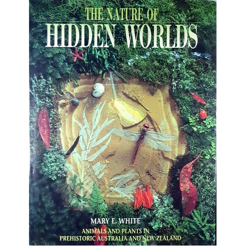 The Nature Of Hidden Worlds