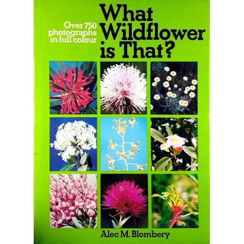 What Wildflower Is That
