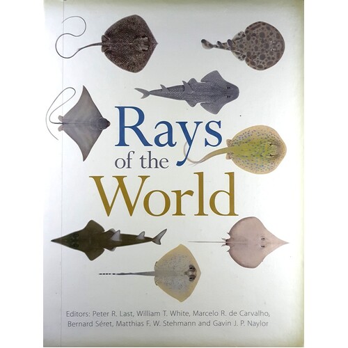 Rays Of The World