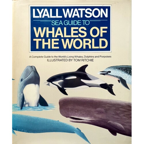 Sea Guide To Whales Of The World