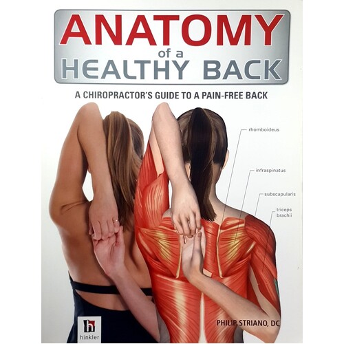 Anatomy Of A Healthy Back. A Chiropractor's Guide To A Pain Free Back