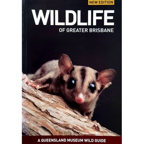 Wildlife Of Greater Brisbane
