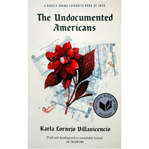 Undocumented Americans