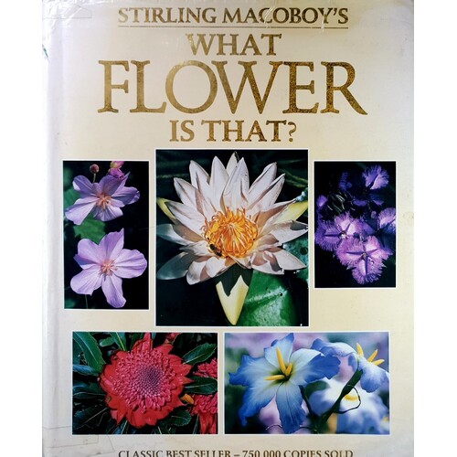 What Flower Is That