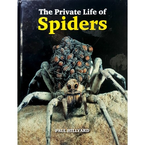 The Private Life Of Spiders