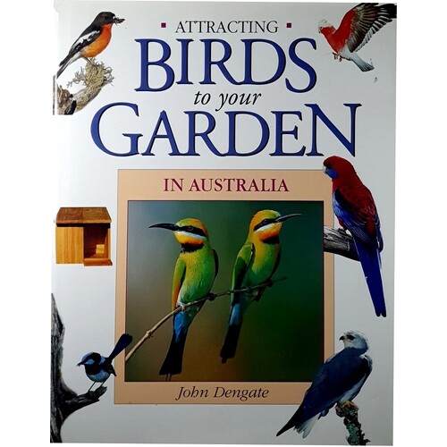 Attracting Birds To Your Garden In Australia