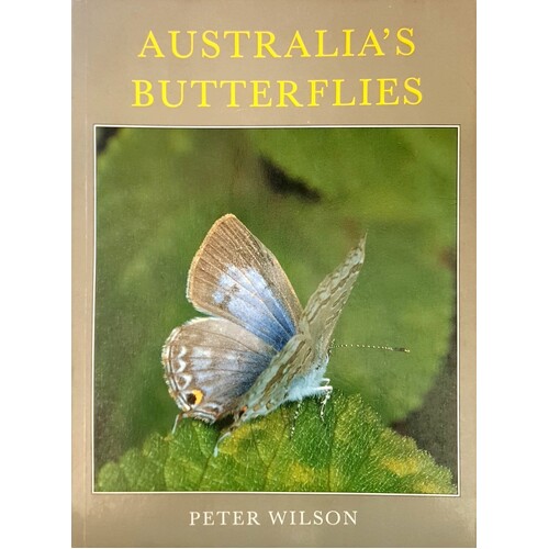 Australia's Butterflies