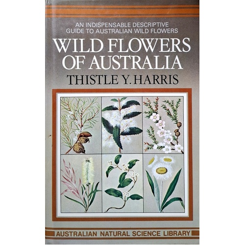 Wild Flowers Of Australia