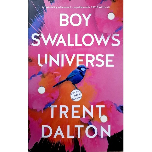 Boy Swallows Universe