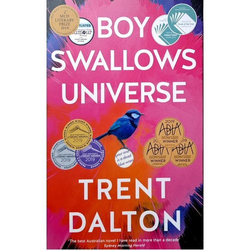Boy Swallows Universe