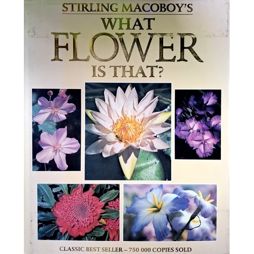 What Flower Is That